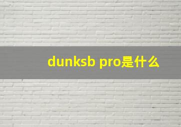 dunksb pro是什么